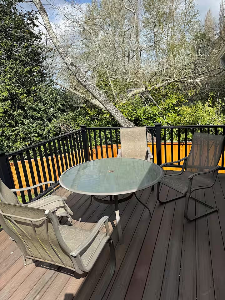 Furnished Finder property 933201_1 photo 31