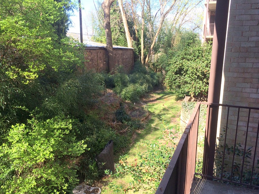 Private balcony on second floor overlooking bamboo garden