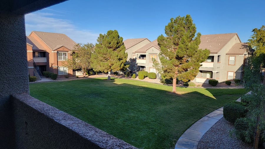View from Patio