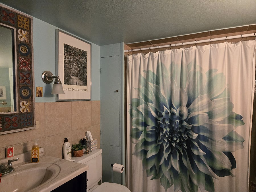 2nd floor bath (shower and tub and Shampoo/Conditioner/Body Wash)