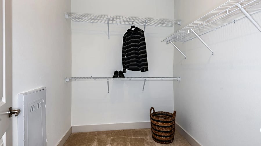 Spacious walk-in closet in unit