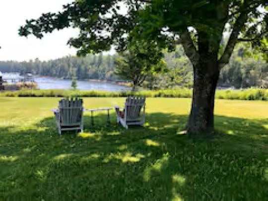 View over water under shade maple tree