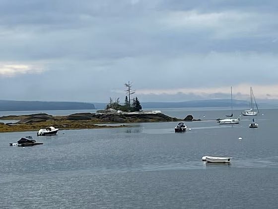 Mink Island in the harbor