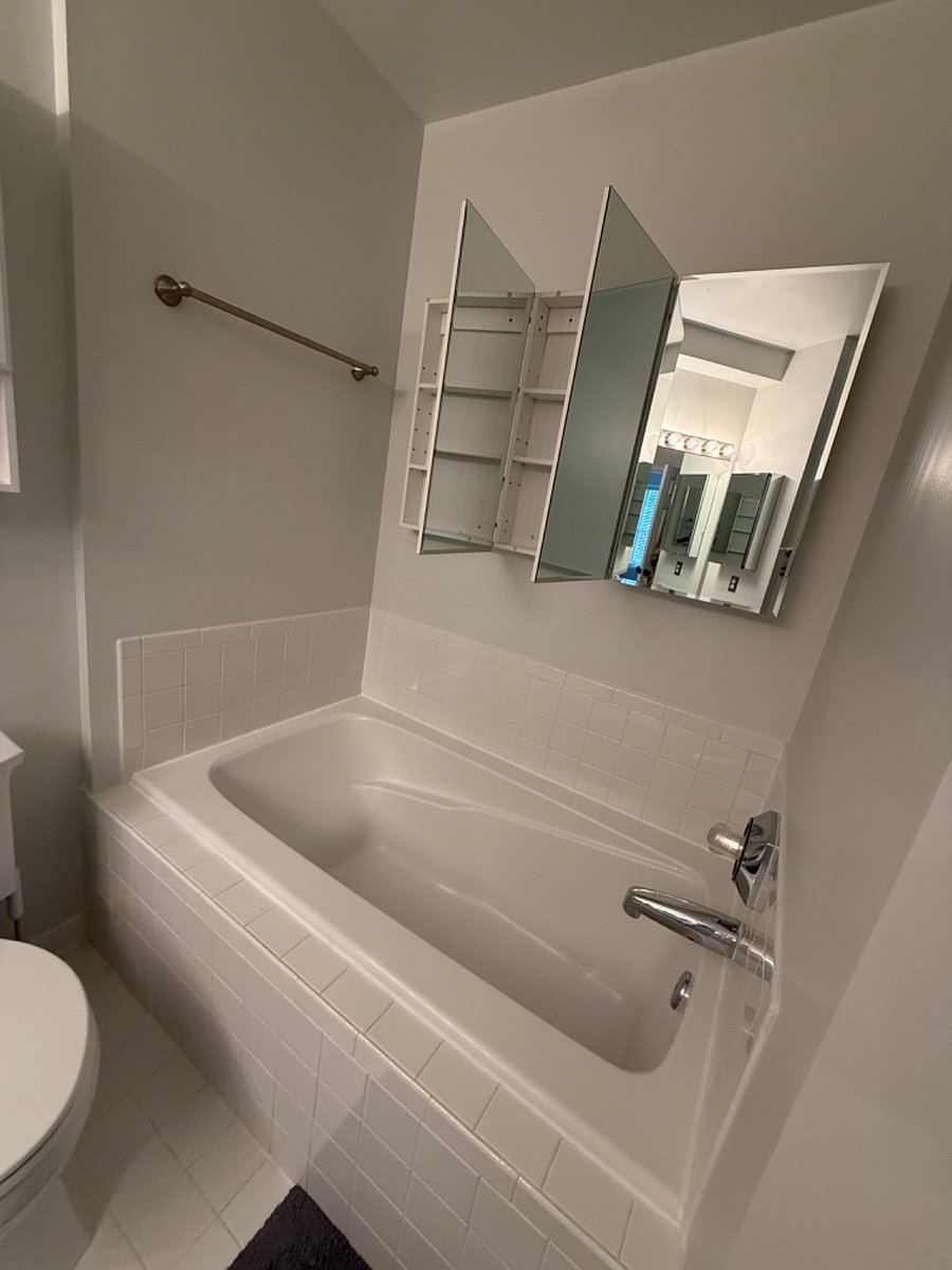 Master bathroom tub
