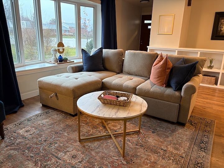 Living room with pull out couch
