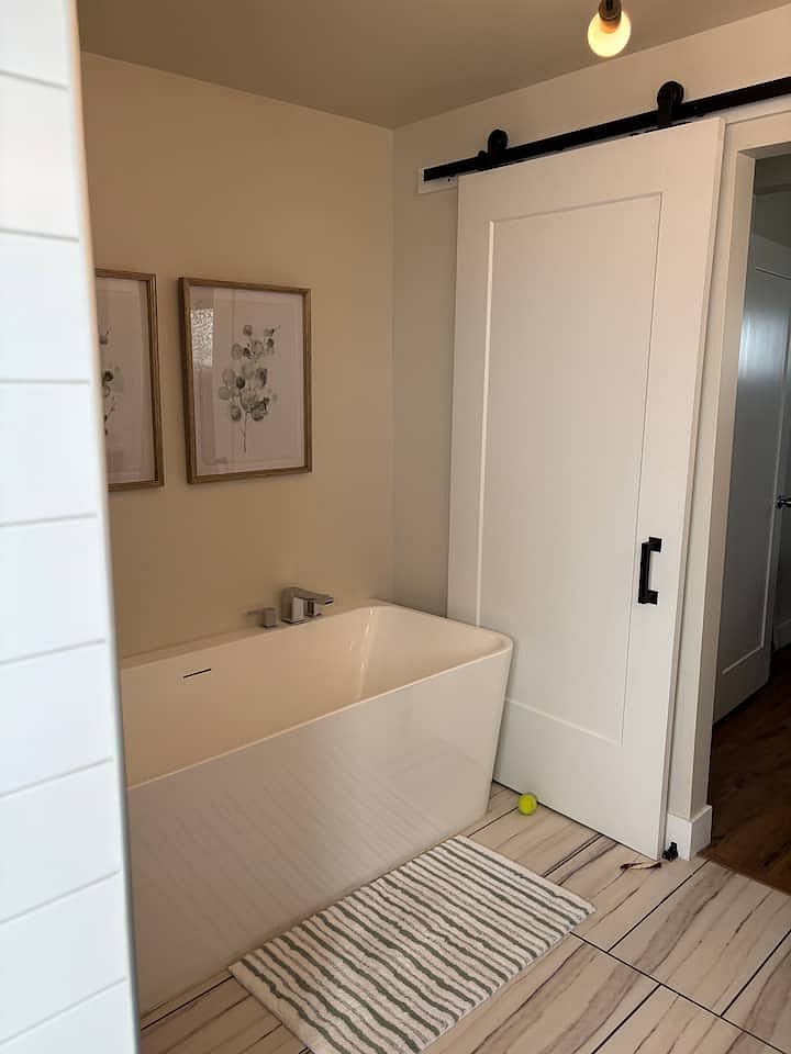 Master bathroom tub