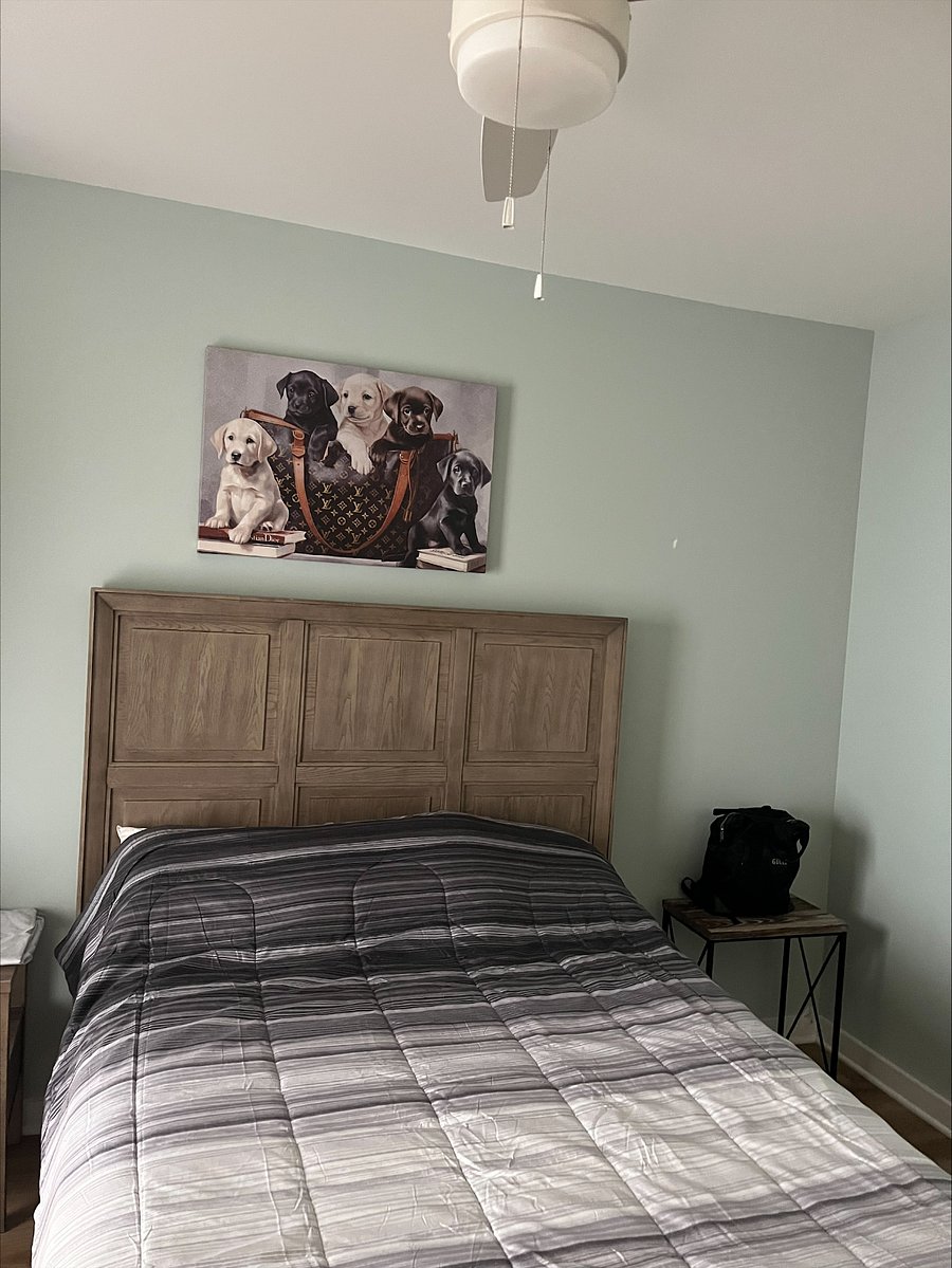 Furnished Finder property 933776_1 photo 11