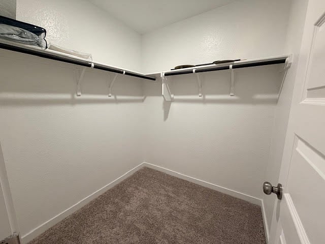 Walk-in Closet located in the Primary bathroom