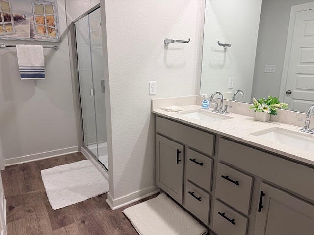 Primary bathroom Walk-in Shower, double vanity, and a spacious carpeted floor walk-in closet.