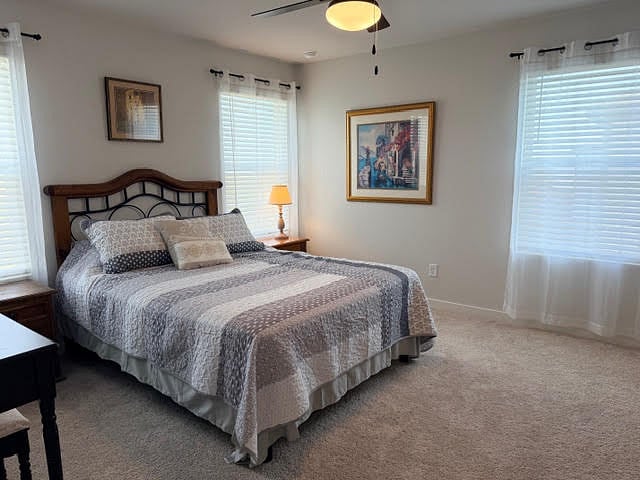Brand new built home! Primary bedroom fully furnished, ceiling fan with lights, 2" faux blinds and window coverings, carpeted floor