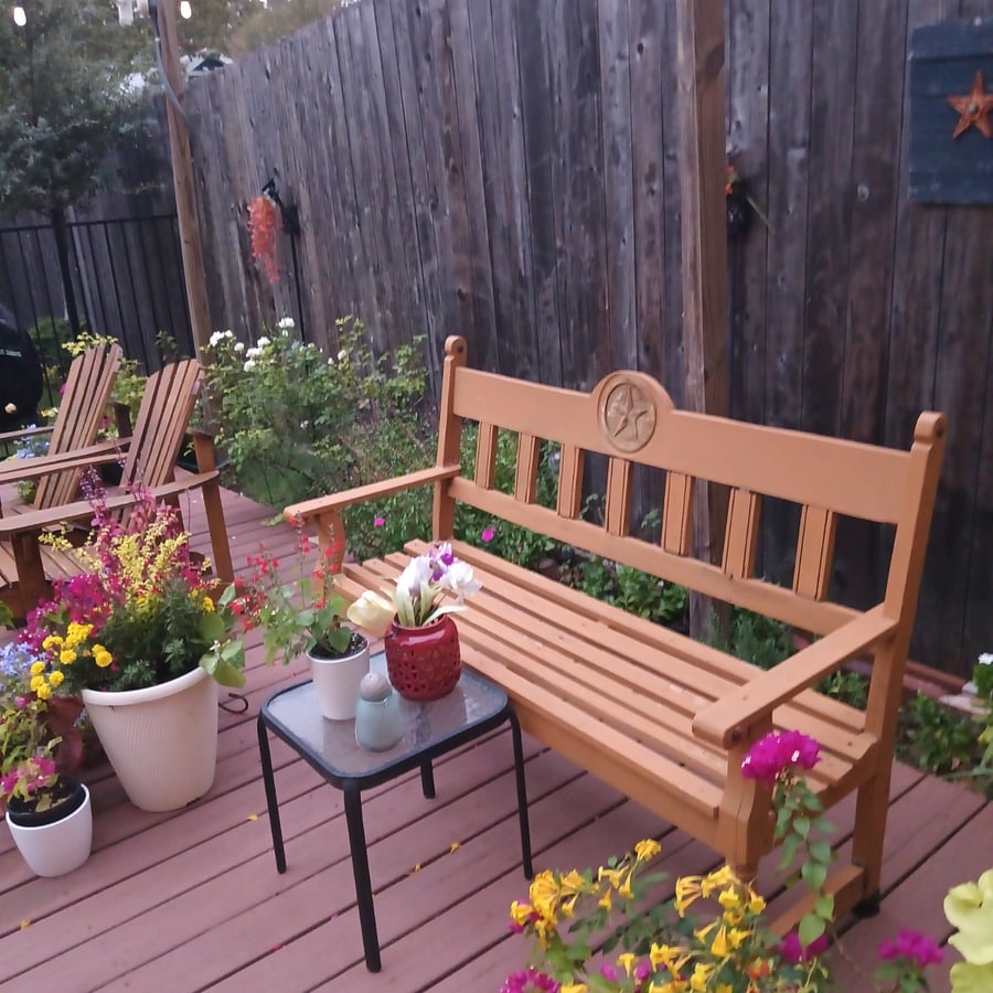 Comfortable Adirondack reclining chairs and 2 benches for relaxing and hanging out.