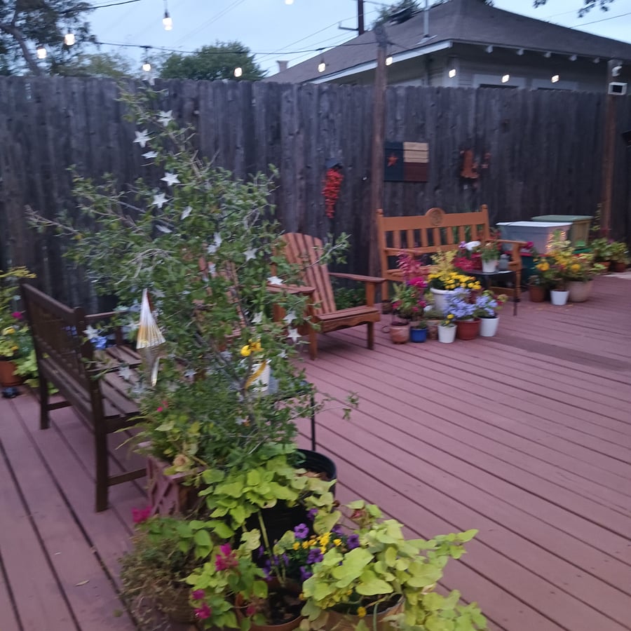 Potted plants add splashes of color. It's a butterfly haven. There's also a friendly bunny that likes to pop up and scamper about.