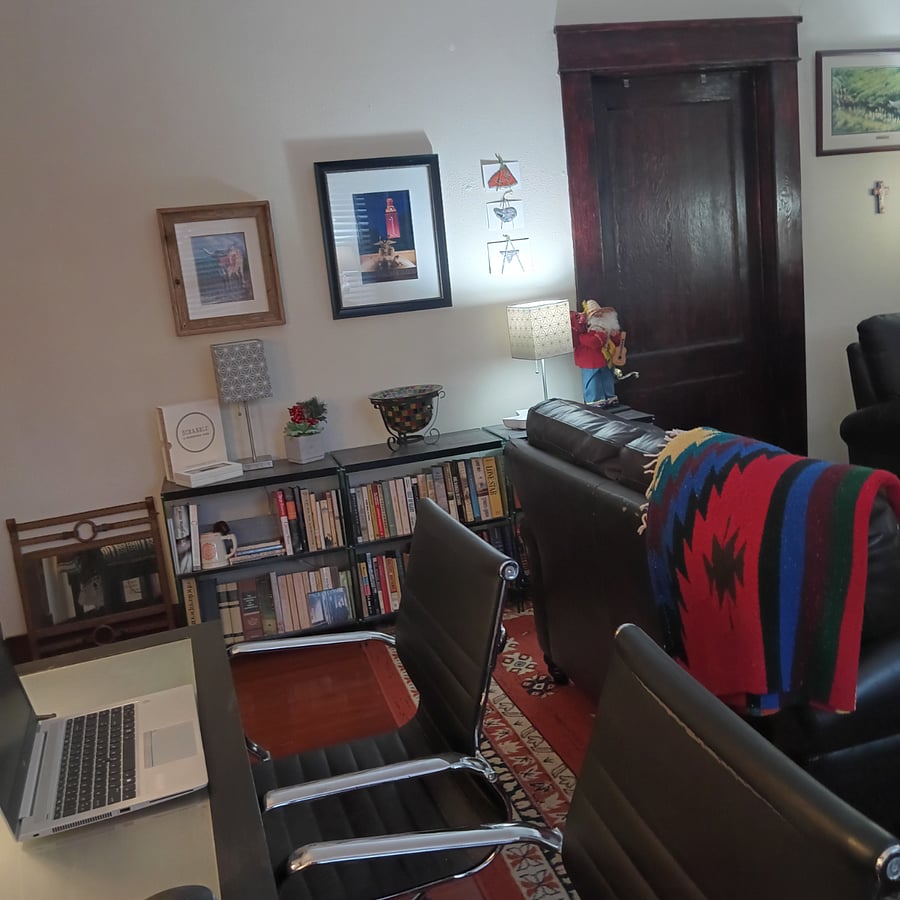 Books abound. Workspace wide enough for two computers, side by side. This room has a ceiling fan with remote control and recessed dimmable lighting.