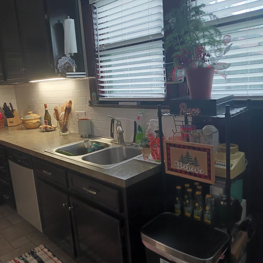 Kitchen sink with double windows. Metal standalone shelf for extra storage. Recessed lighting above sink.