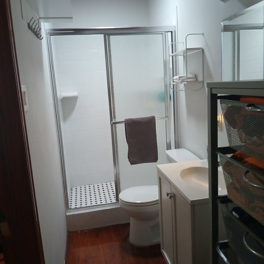 Master bathroom stall has an overhead skylight for natural bright lighting.