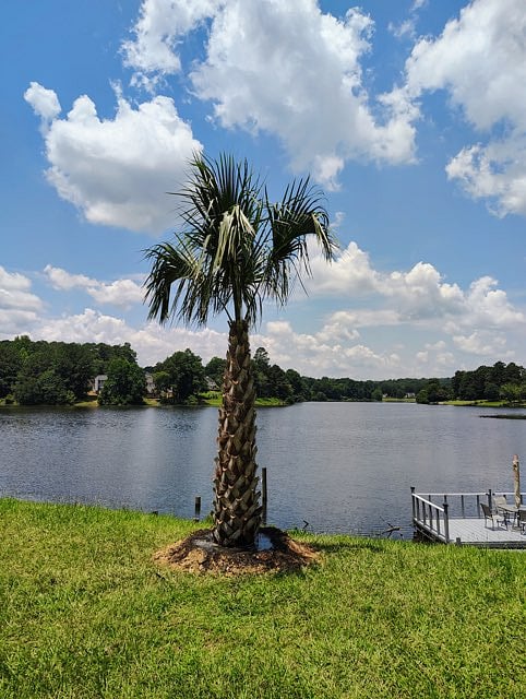 Furnished Finder property 934132_1 photo 10