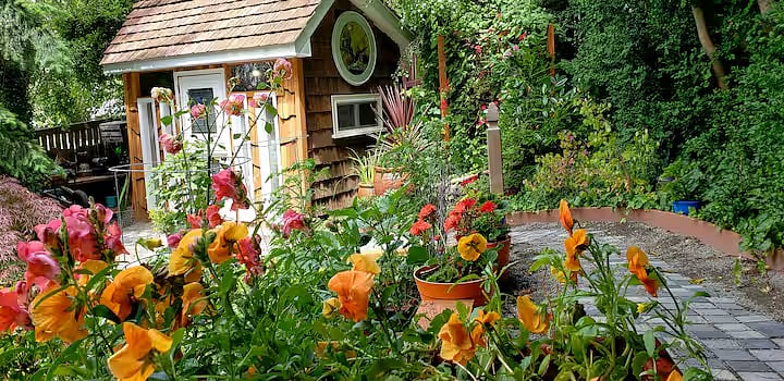 Picture taken from the right flower bed toward the garden shed.