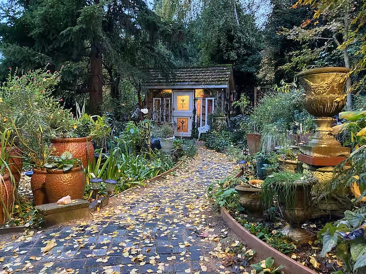 This picture is taken from your front door leading up the path to our whimsical garden shed (and then on up to the parking pad).