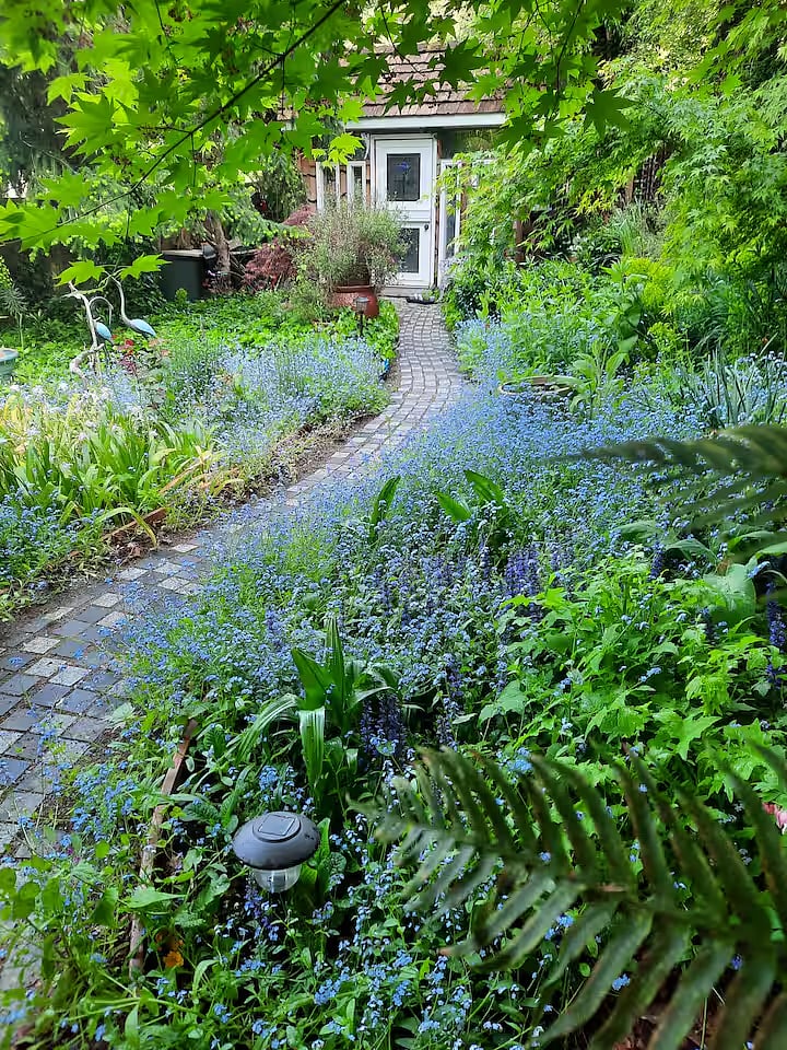 Another angle looking at the path to your door.