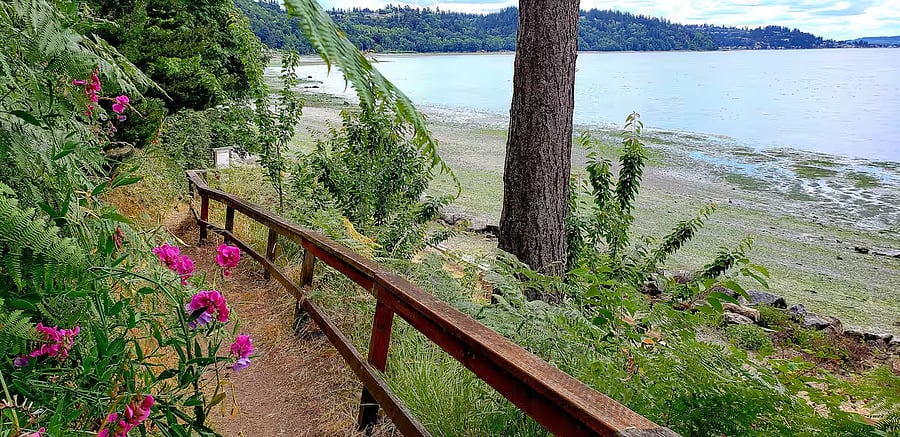 The path down to the private beach, where you can beach-comb or swim if you like cold water.
