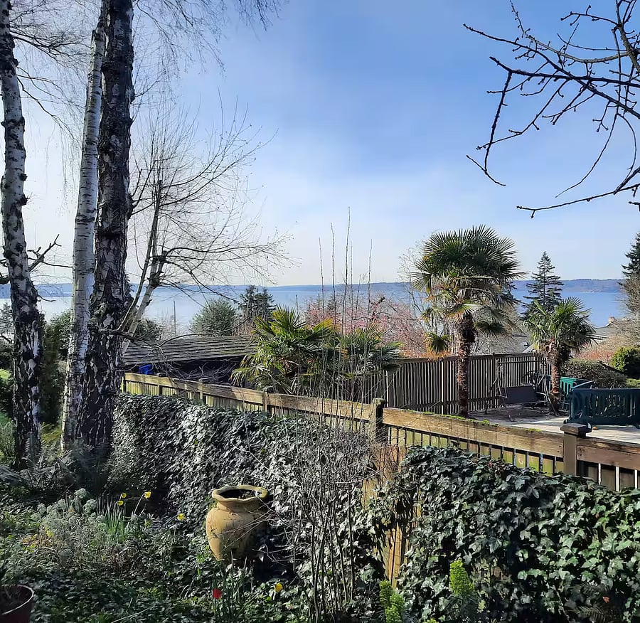 The water view from your deck.