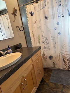 Bathroom (view 2)