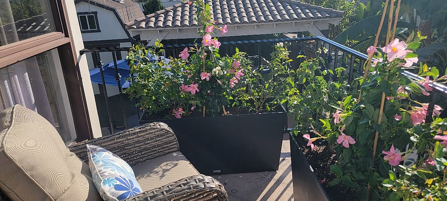 Large Garden Horizon Ocean View Balcony off Primary Bedroom Suite with Rockers.