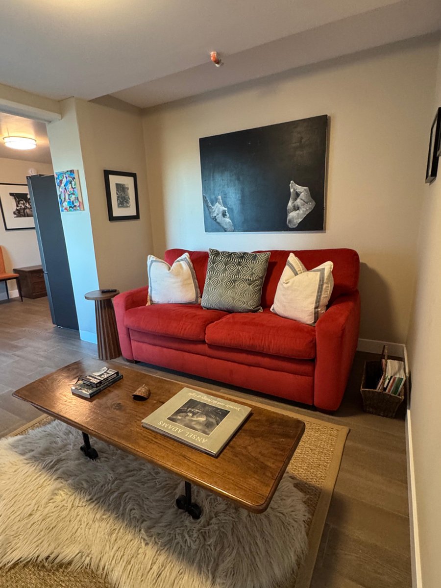 The sofa / living room. The sofa brand is called American Leather. They're super comfy, and... they pull out into the comfiest sofa bed on the market (imho), a queen size sofa bed in this case.