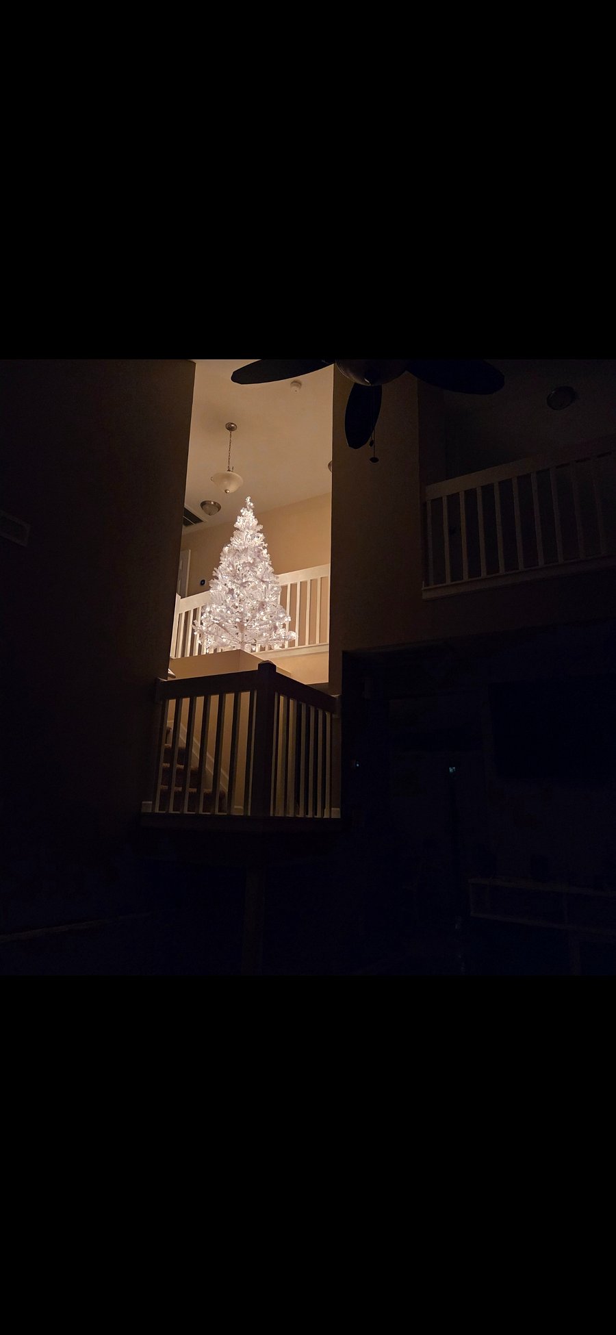 Night light