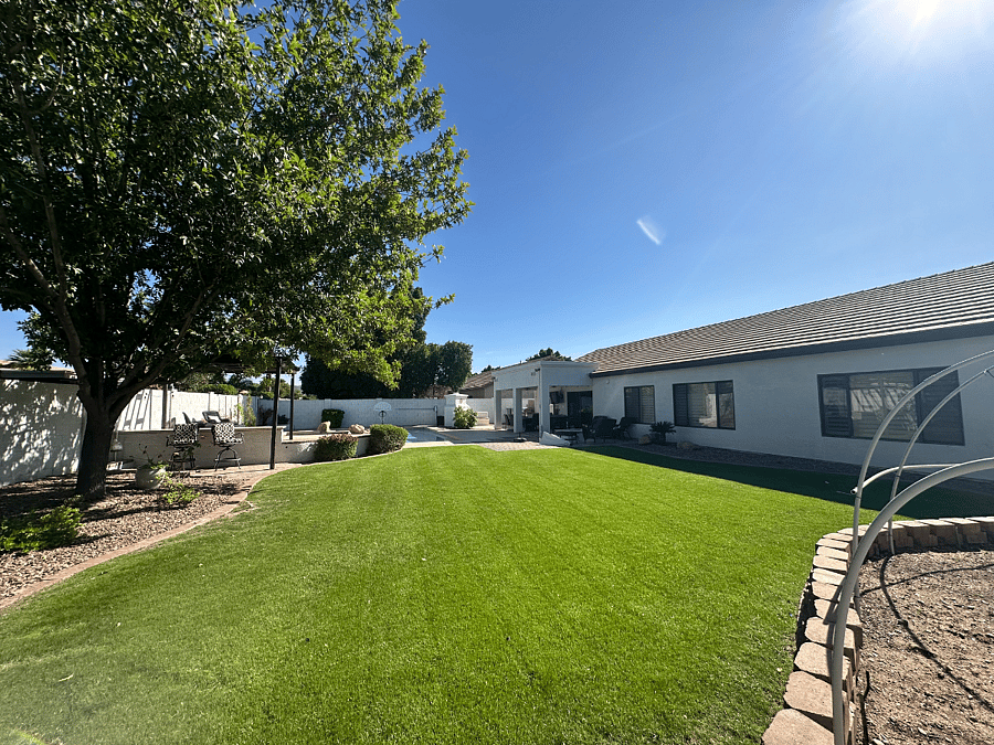 LARGE BACKYARD