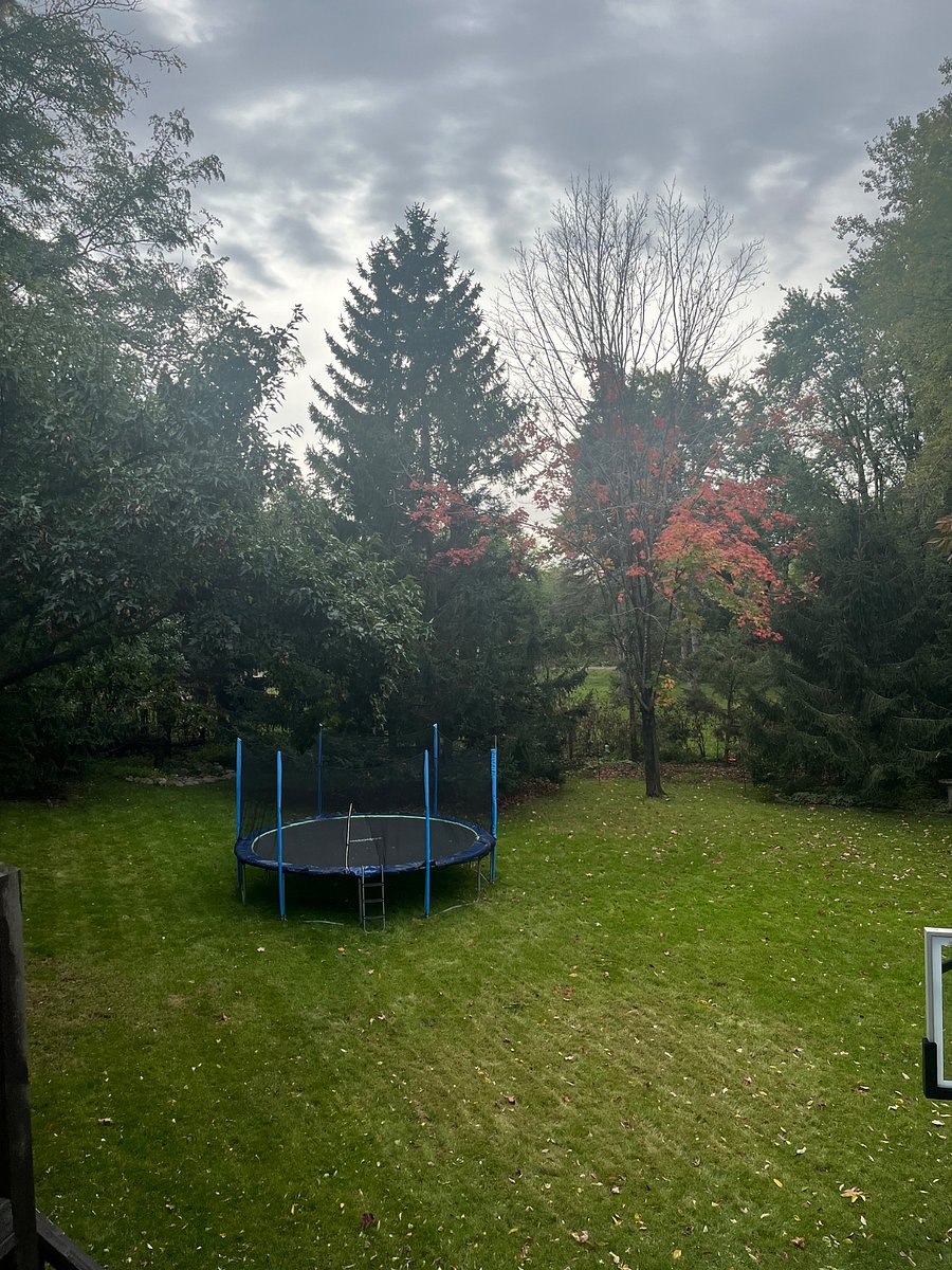 Furnished Finder property 935172_1 photo 7