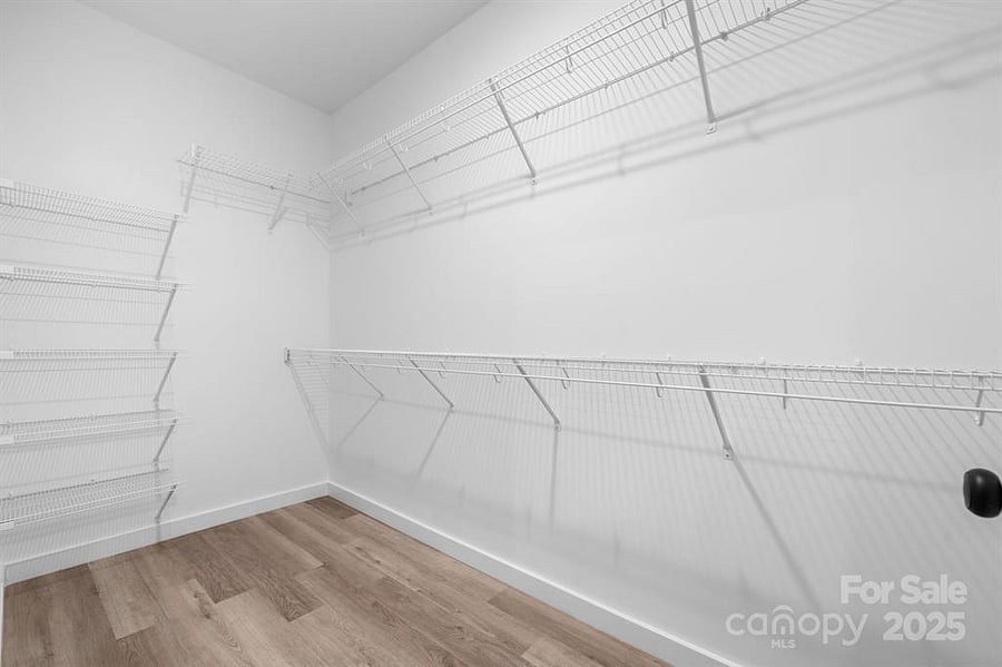 walk-in closet master