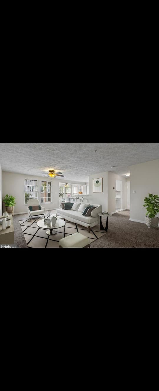 Furnished Finder property 935383_1 photo 11