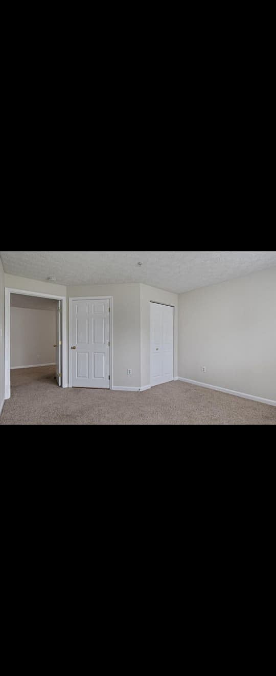Furnished Finder property 935383_1 photo 5