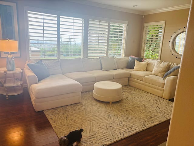 Family room