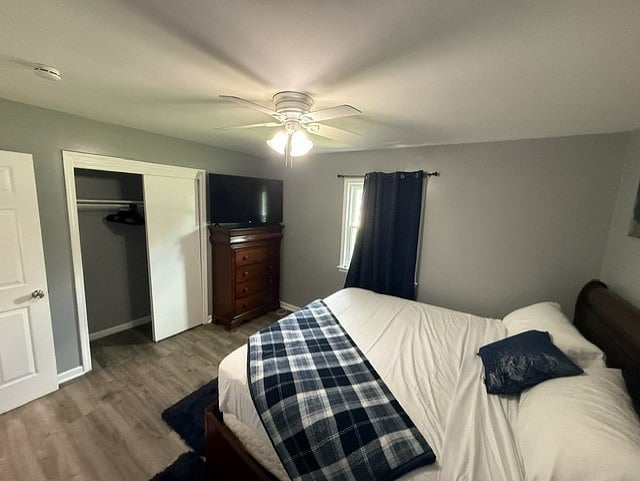 Furnished Finder property 935565_1 photo 13