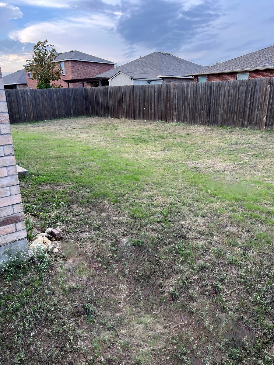 Backyard w/Fence