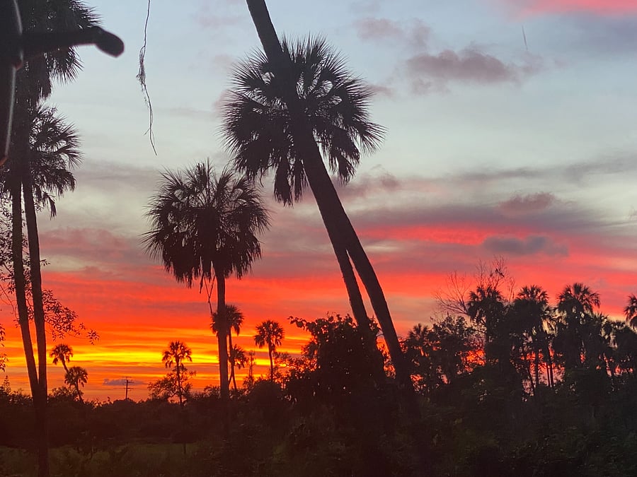 sunset taking by previous tenant