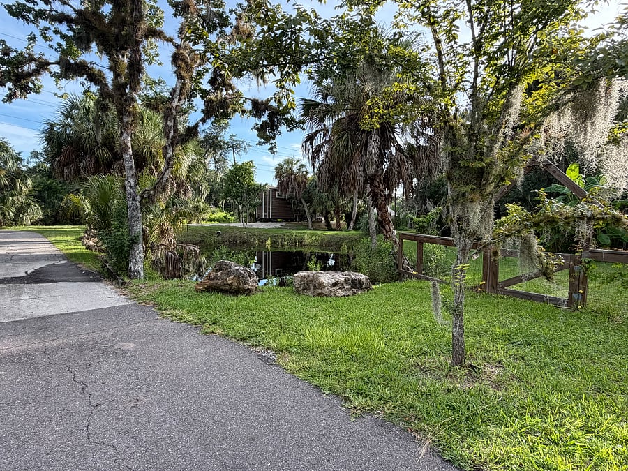 pond on the 3 acre property