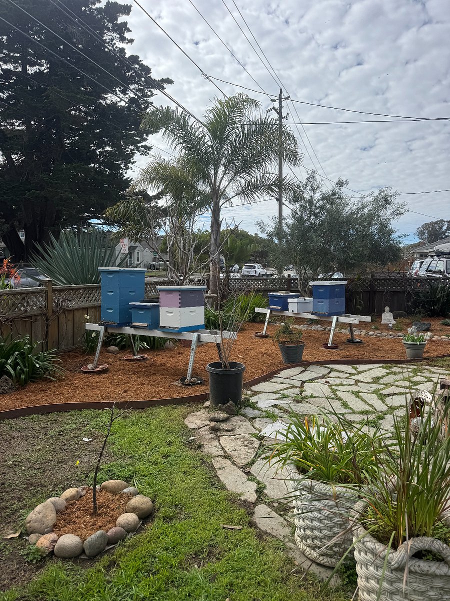 My wife is a beekeeper!