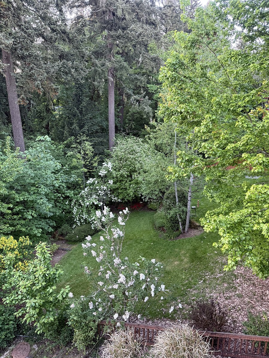 View from deck of neighbors yard to the right
