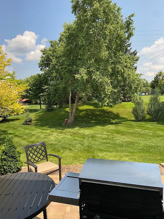 Home's backyard view next to the quiet park and connected regional trail