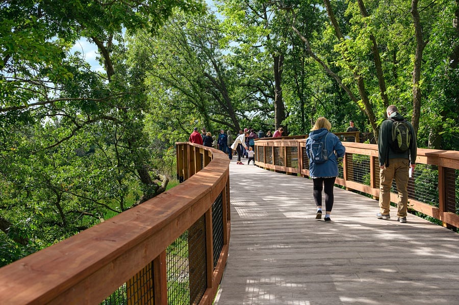 the Gateway Center, a beautiful building with a wrap-around deck, concessions, equipment rentals, and a menagerie of resident animals. The deck leads to the Treetop Trail, a brand-new boardwalk high in the canopy. The Treetop Trail offers amazing vistas of the wetland and trees, with chances to see incredible birds and wildlife,