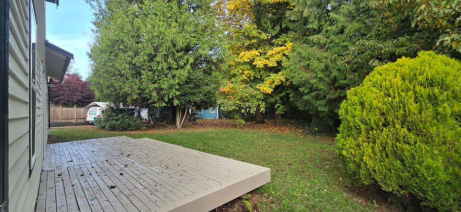 Relaxing back deck