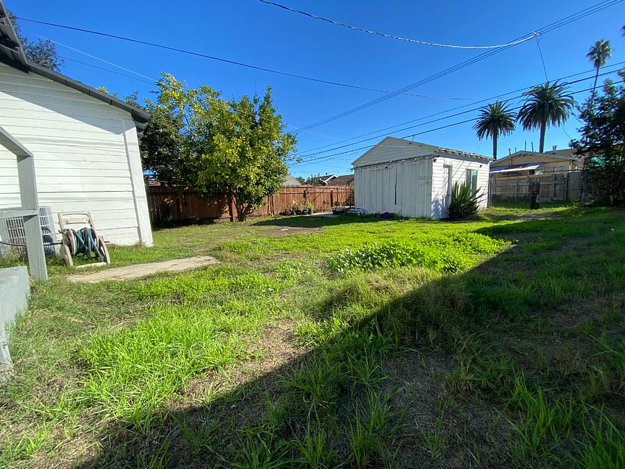 Backyard 