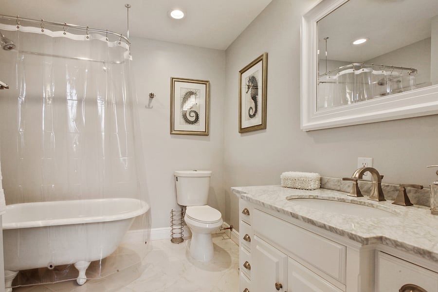 Full bath / Vintage soaking claw tub w/ Shower