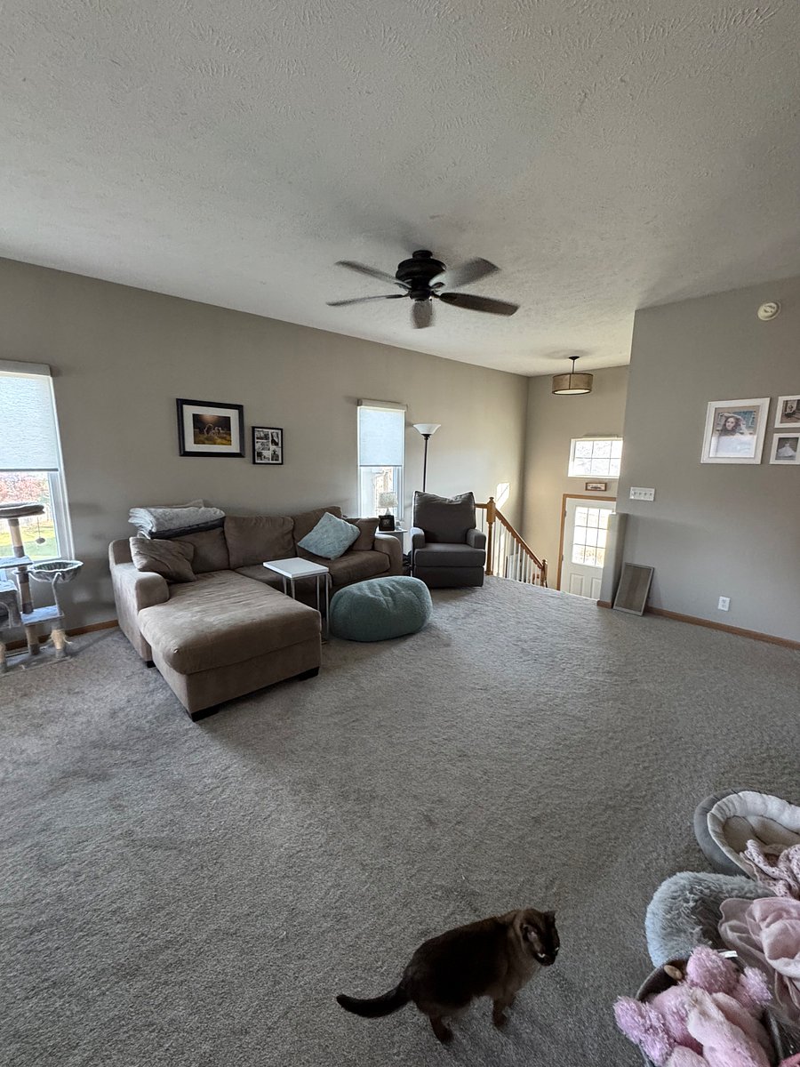 Furnished Finder property 936028_1 photo 17
