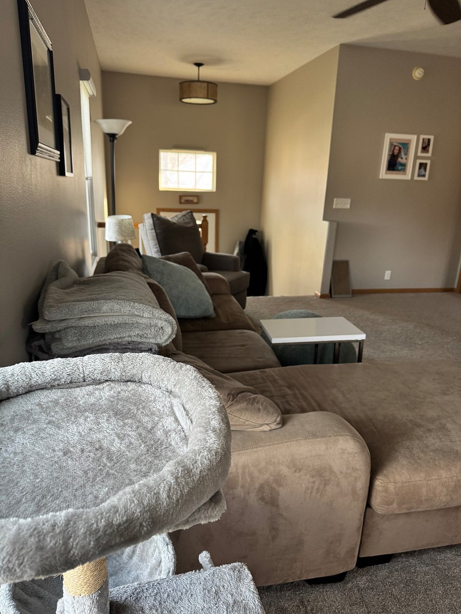 Furnished Finder property 936028_1 photo 18