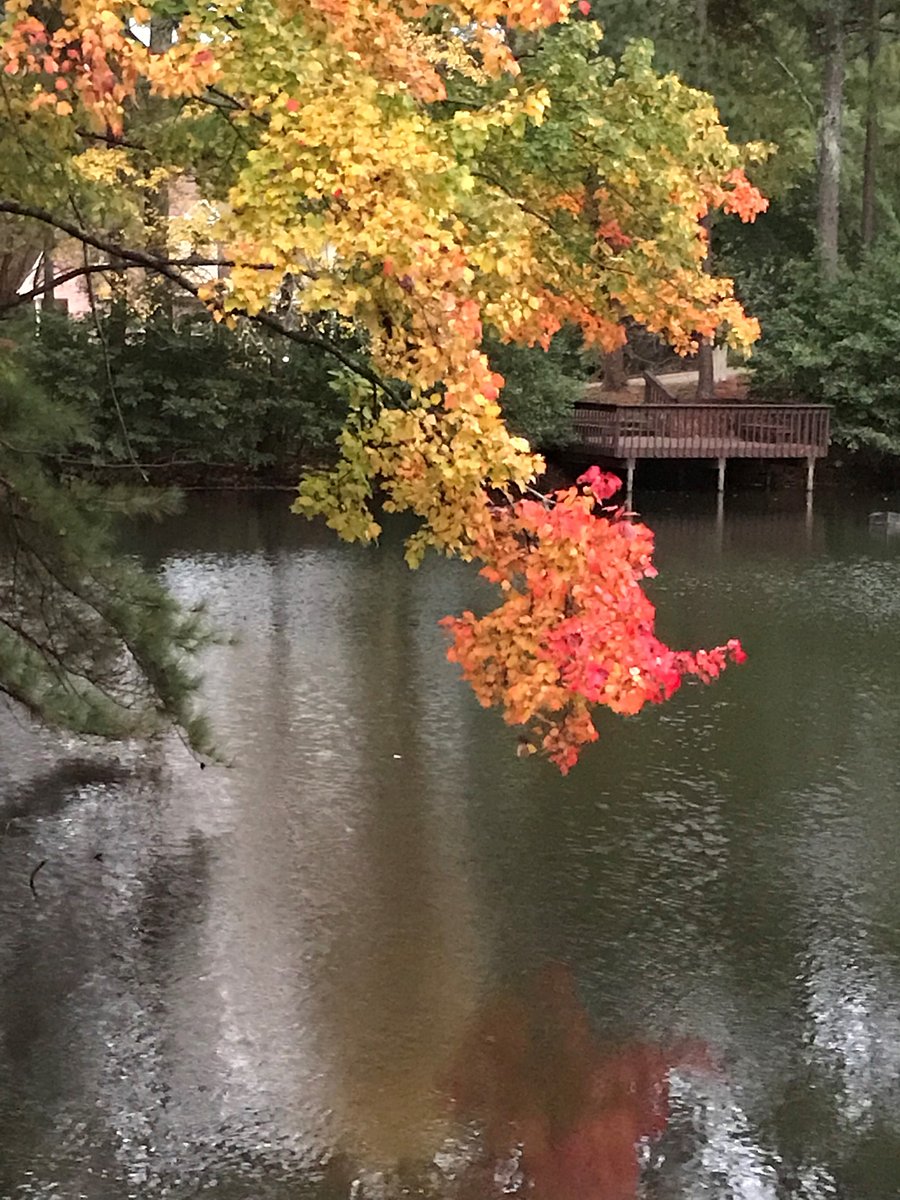 View of the lake in the backyard
