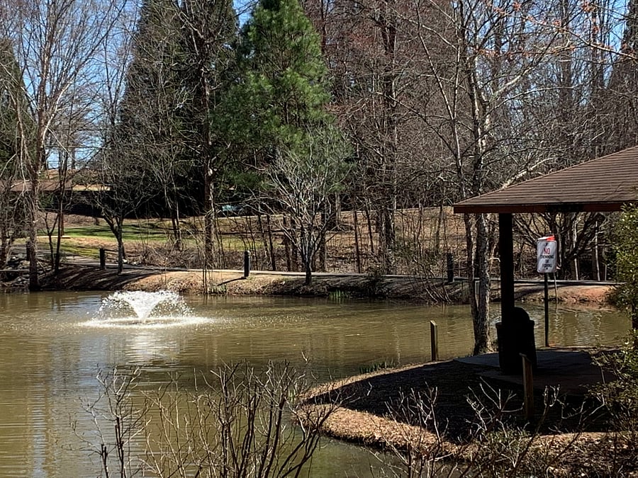 Nearby Newtown Park